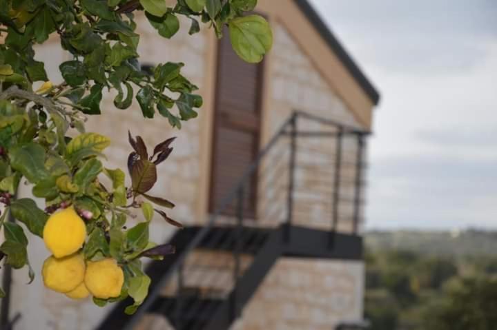 Il Carrubo Holiday House Scicli Dış mekan fotoğraf